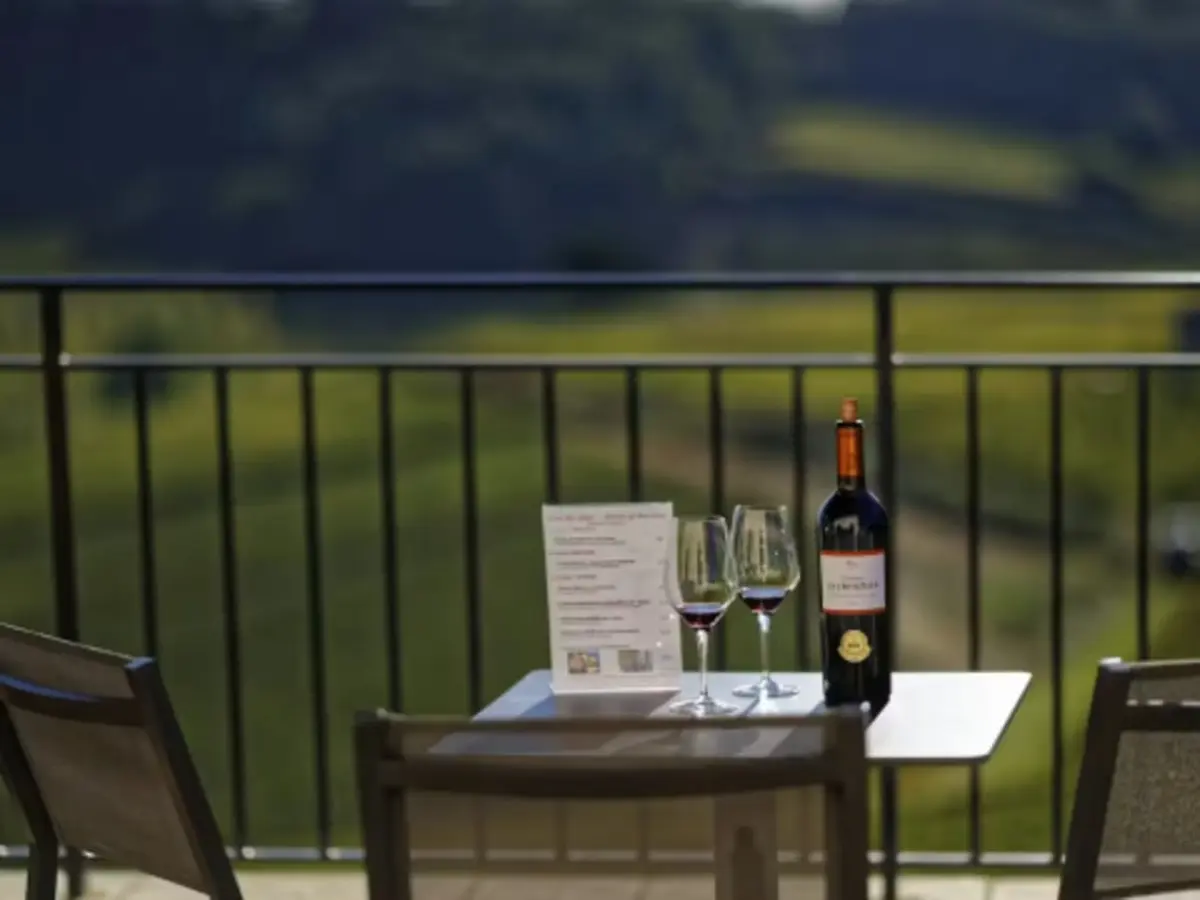 Visite guidée + dégustation de vin au Château La Croizille (33)