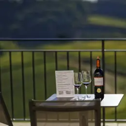 Visite guidée + dégustation de vin au Château La Croizille (33)