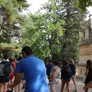 Visite guidée des Alyscamps (nécropole antique et médiévale, église romane)