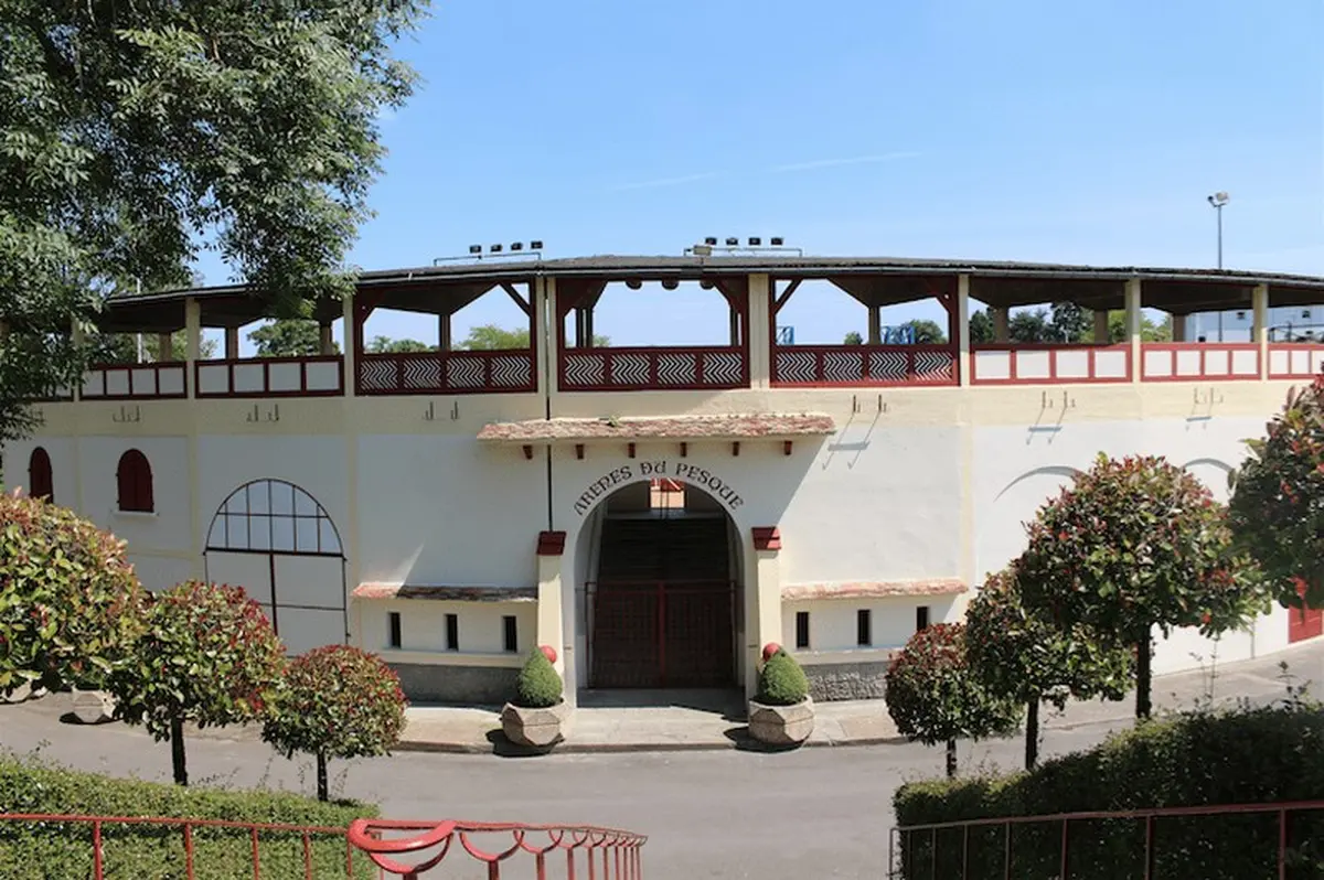 Visite guidée des arènes