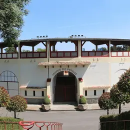 Visite guidée des arènes