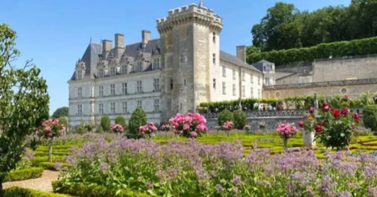 Visite guidée des châteaux d'Azay-le-Rideau et Villandry (37)