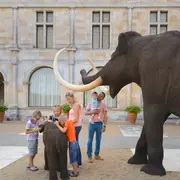 Visite guidée des collections 100 000 ans de Préhistoire en Touraine