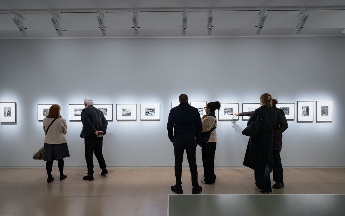 Visite guidée des expositions