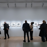 Visite guidée des expositions