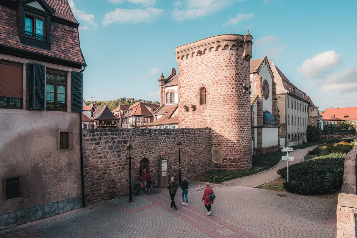 Visite guidée des remparts d'Obernai pour la Journée des Châteaux Forts d'Alsace