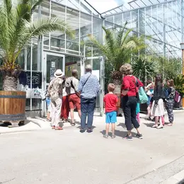 Visite guidée des serres de collection tropicales