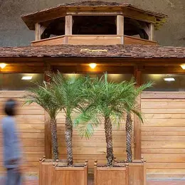 Visite Guidée Des Thermes