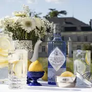 Visite guidée distillerie Citadelle Gin à Ars (16)