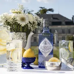 Visite guidée distillerie Citadelle Gin à Ars (16)
