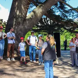 Visite guidée du Château de Chenonceau