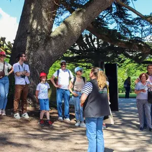 Visite guidée du Château de Chenonceau