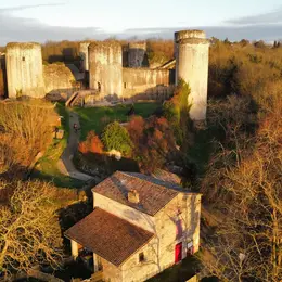 Visite guidée du château du Coudray Salbart à Echiré
