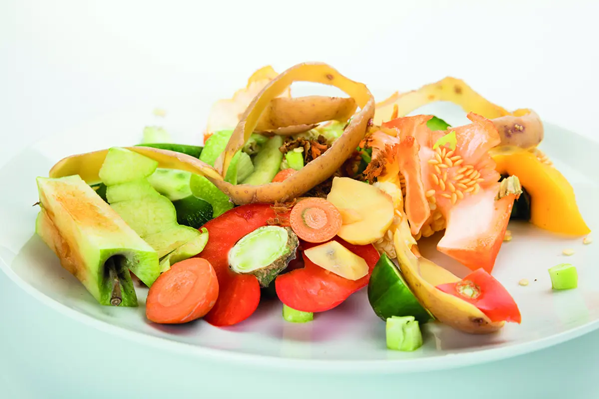 Visite guidée du domaine des 3B et initiation à la cuisine des épluchures