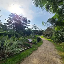 Visite guidée du Jardin botanique