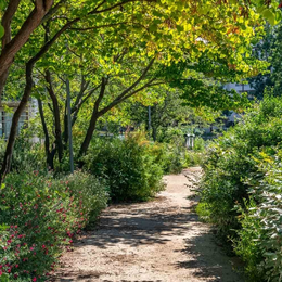 Visite guidée Du jardin Villemin à la médiathèque Françoise Sagan