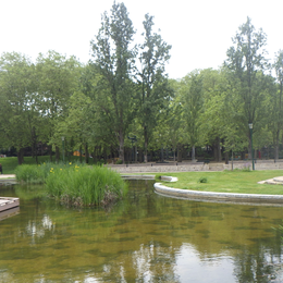 Visite guidée du parc Georges Brassens et ses bassins végétalisés