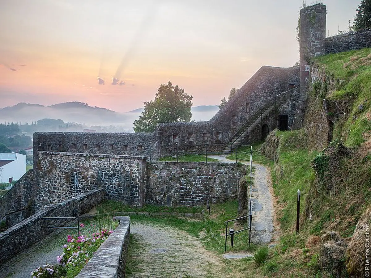 Visite guidée :  du royaume de Navarre à Compostelle