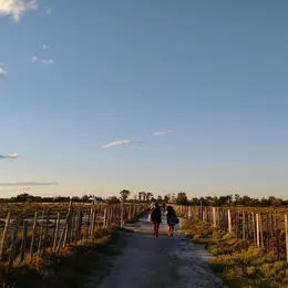 Visite guidée du sentier du Mas du Pont de Rousty