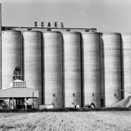 Visite guidée du Silo SCAEL - Journées Européennes du Patrimoine
