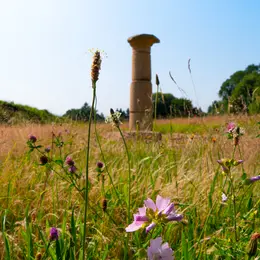 Visite guidée du site archéologique de Tintignac