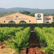 Visite guidée du vignoble Terre de Mistral, suivie d'une dégustation