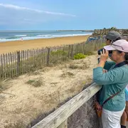 Visite guidée Ecosystèmes dunaires et gestion du littoral angloy