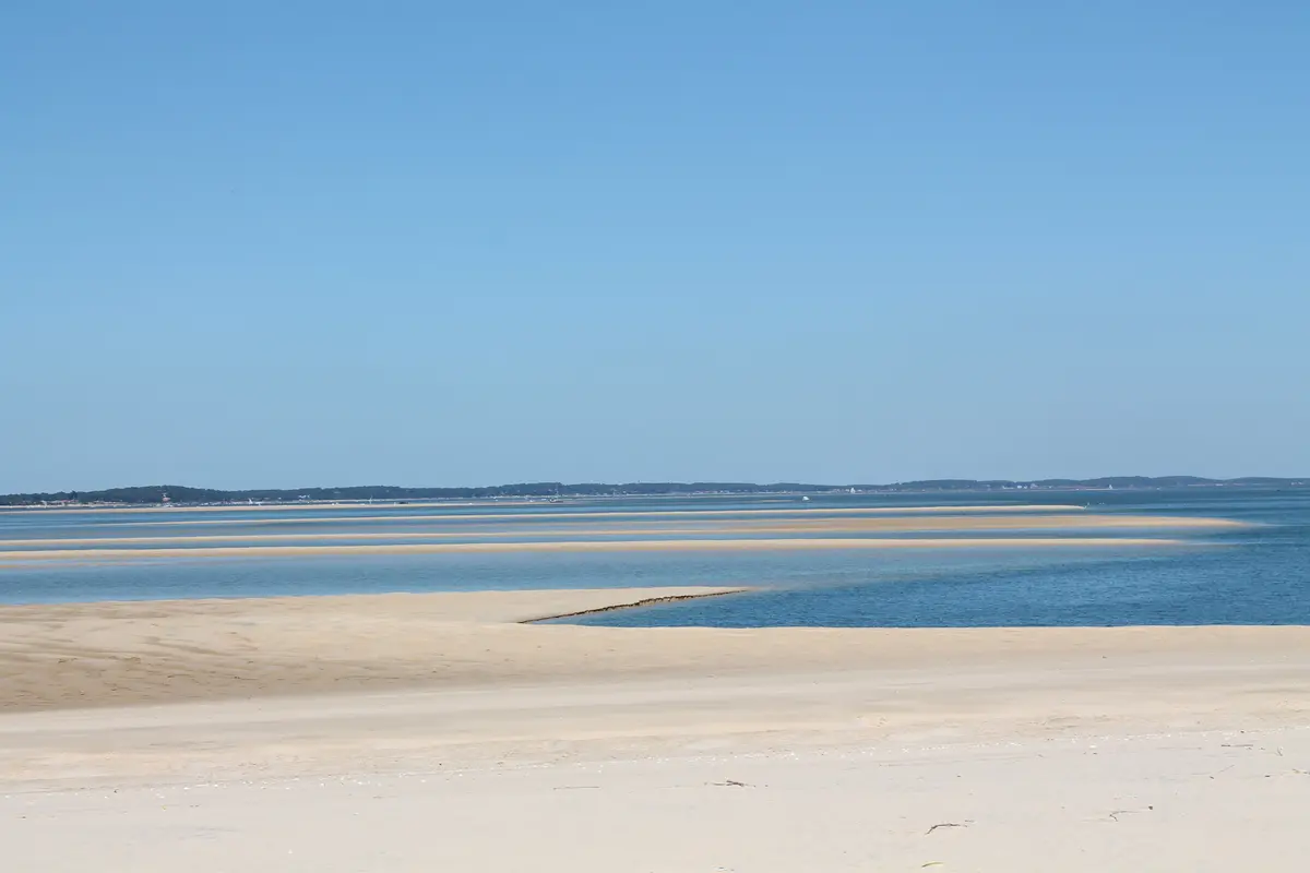 Visite guidée en kayak