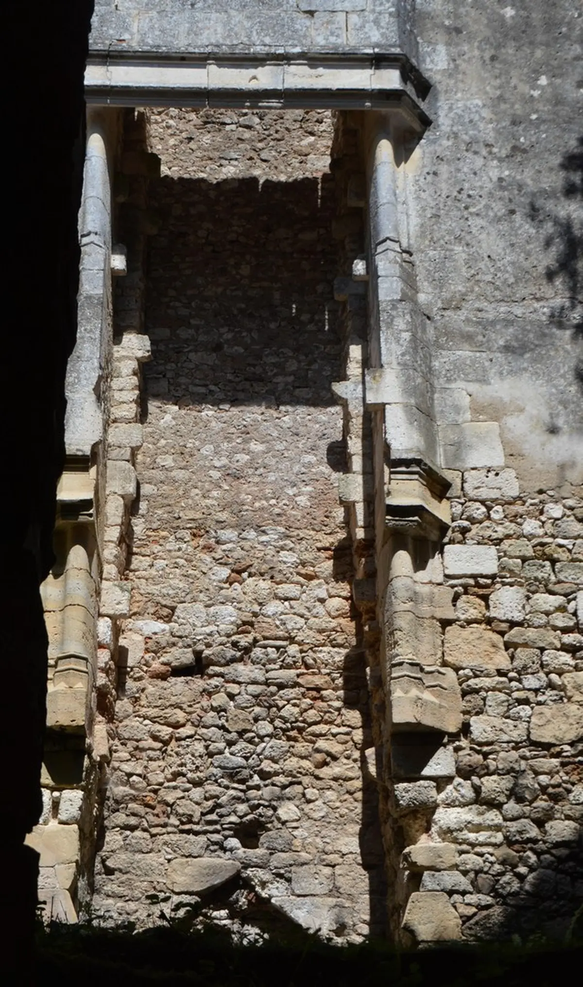 Visite guidée et fauconnerie - Châteaux en fête