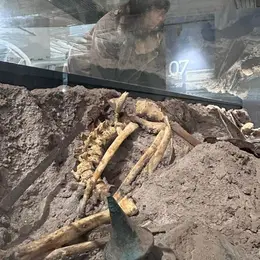 Visite guidée flash Les vestiges de la Grande Guerre
