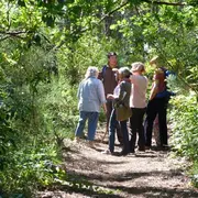 Visite Guidée : Forêt Dunaire de Camicas
