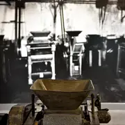 Visite guidée gourmande du Musée du Calisson suivie d'une dégustation