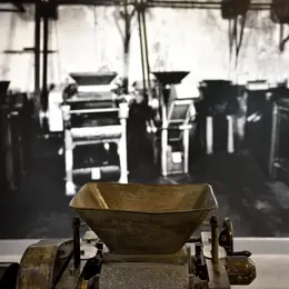 Visite guidée gourmande du Musée du Calisson suivie d'une dégustation