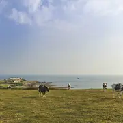 Visite guidée : La pointe de Jardeheu vue par un géologue