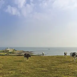 Visite guidée : La pointe de Jardeheu vue par un géologue