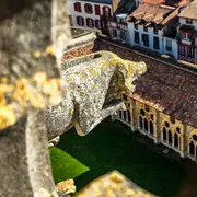 Visite guidée : la tour sud de la cathédrale