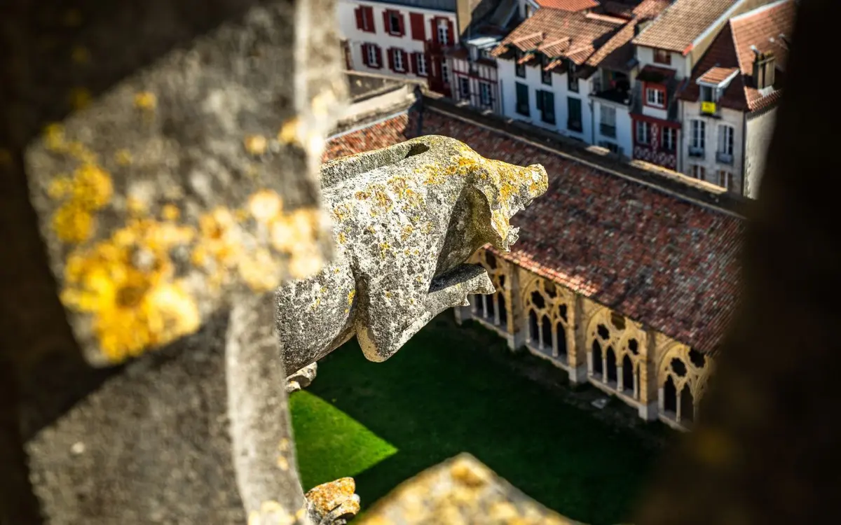 Visite guidée : la tour sud de la cathédrale