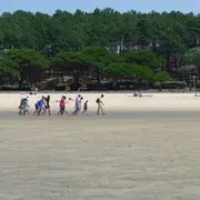 Visite guidée : La vie secrète du banc de sable de Pereire