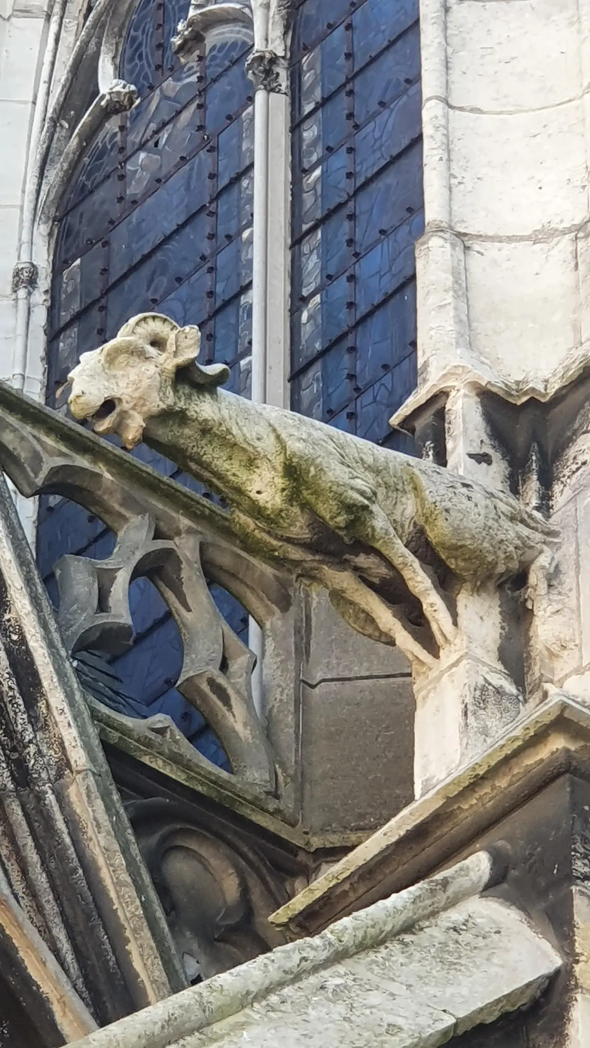 Visite guidée Le Bestiaire caché de Troyes