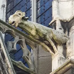 Visite guidée Le Bestiaire caché de Troyes