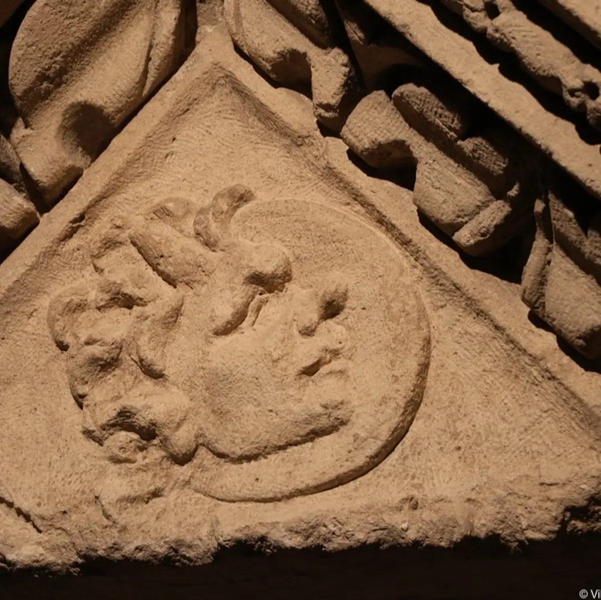 Visite guidée :  Le musée du bout du nez ! 