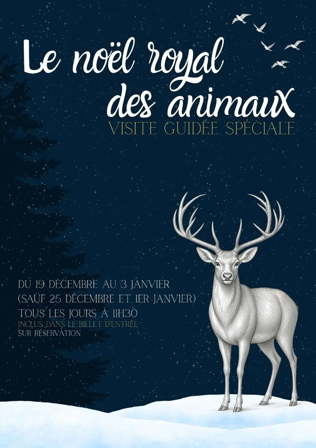 Visite guidée « Le noël royal des animaux » au château royal d'Amboise