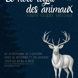 Visite guidée « Le noël royal des animaux » au château royal d'Amboise
