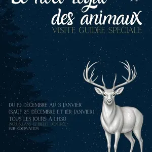 Visite guidée « Le noël royal des animaux » au château royal d'Amboise