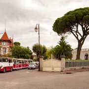 Visite Guidée : Le Petit Train / La Panoramique