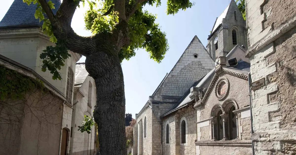 Visite guidée : Le quartier Sainte-Radegonde