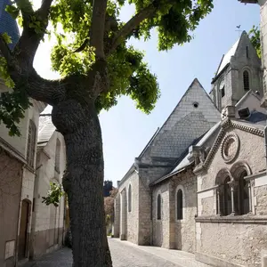 Visite guidée : Le quartier Sainte-Radegonde