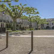 Visite guidée : les secrets des Sotiates