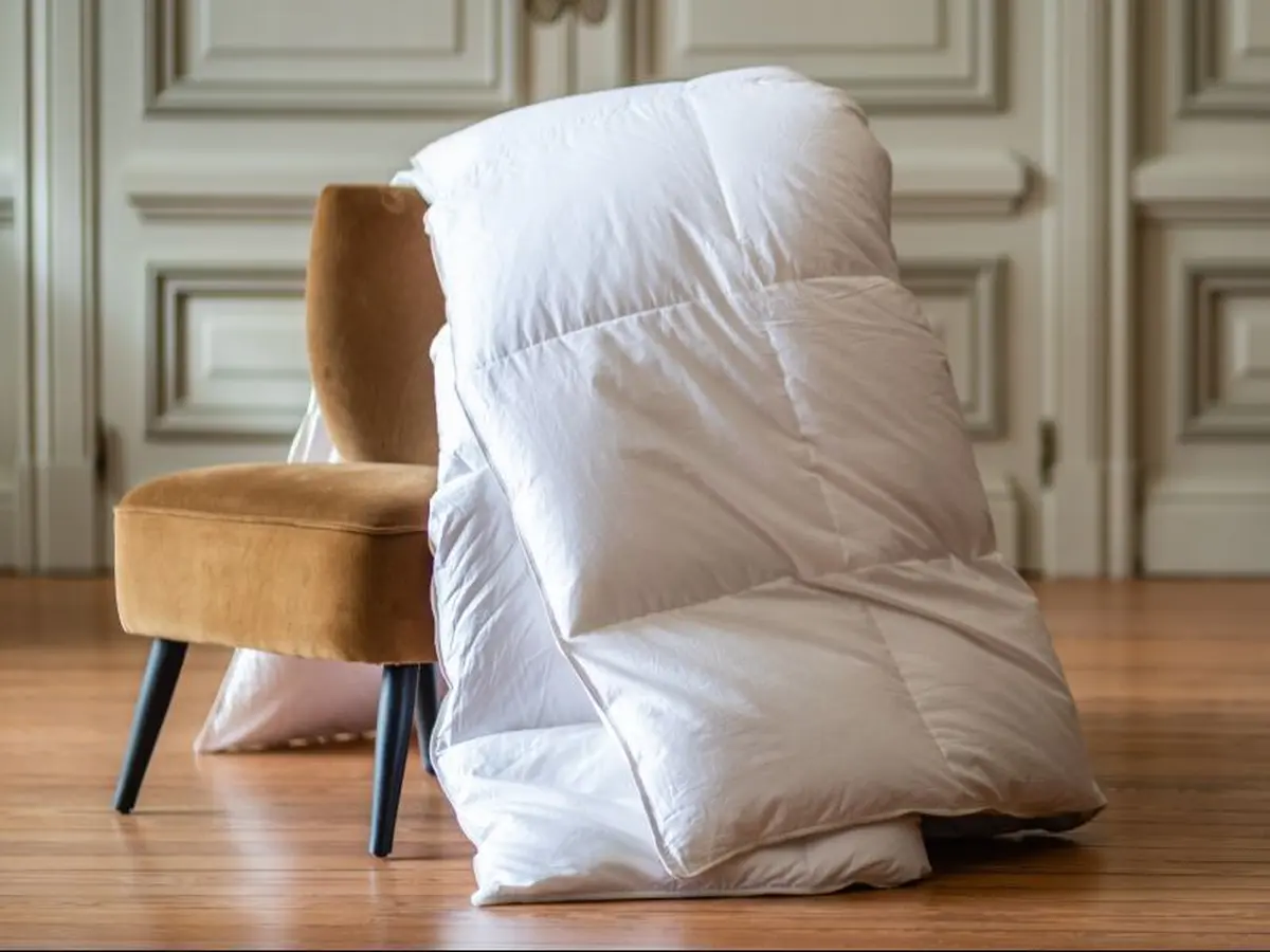 Visite guidée : Manufacture Castex