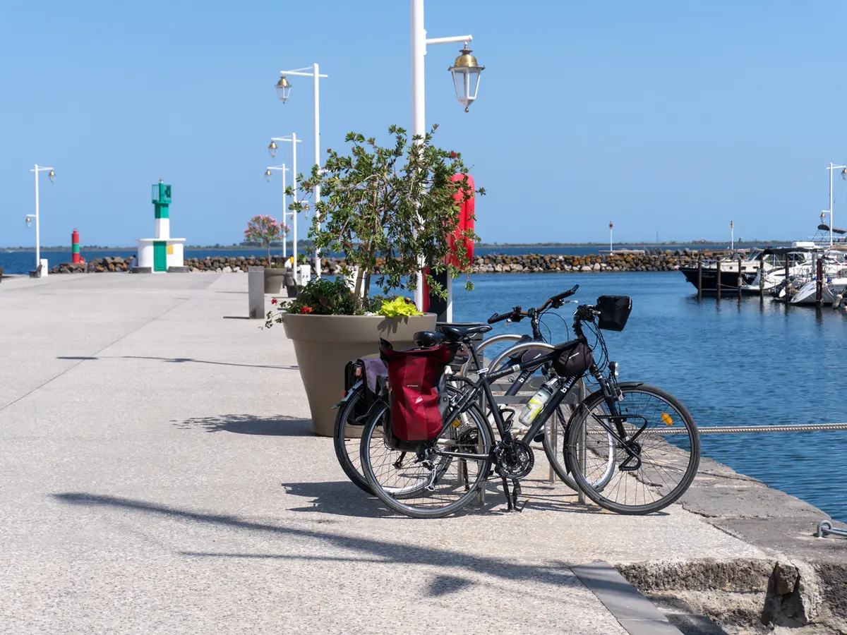 Visite Guidée : Marseillan Entre Vignobles Et étang